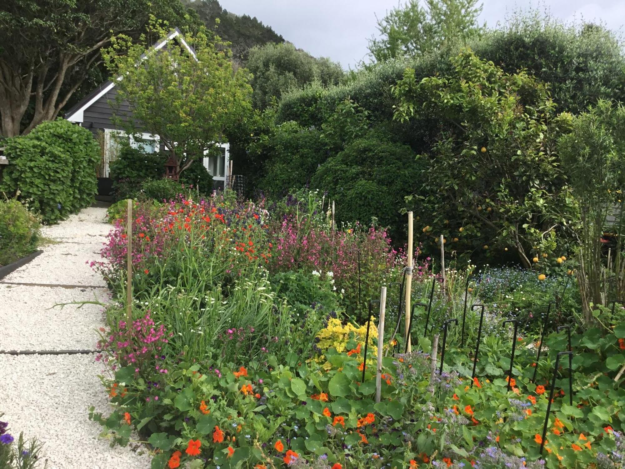 Hahei Kereru Cottage Exterior photo